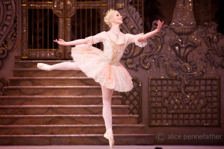 The Nutcracker 2013 - Courtesy of ROH - Alice Pennefather