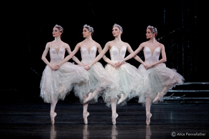 Swan Lake ROH 2015 Photographed by Alice Pennefather